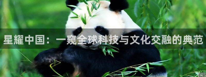 杏悦f凯捷平台在线注册：星耀中国：一窥全球科技与文化交融的典范