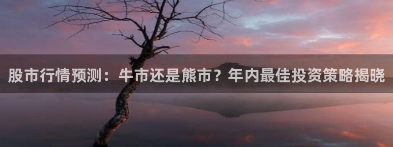 杏悦体育f开户：股市行情预测：牛市还是熊市？年内最佳投资策略揭晓