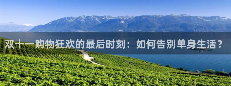 上海杏悦汽车电子有限公司：双十一购物狂欢的最后时刻：如何告别单身生活？