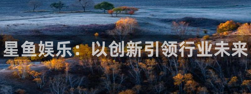 杏悦集团股票：星鱼娱乐：以创新引领行业未来