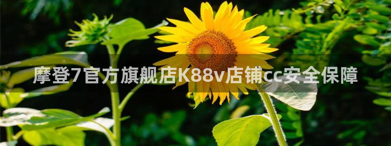 杏悦f凯捷平台在线注册：摩登7官方旗舰店K88v店铺cc安全保障