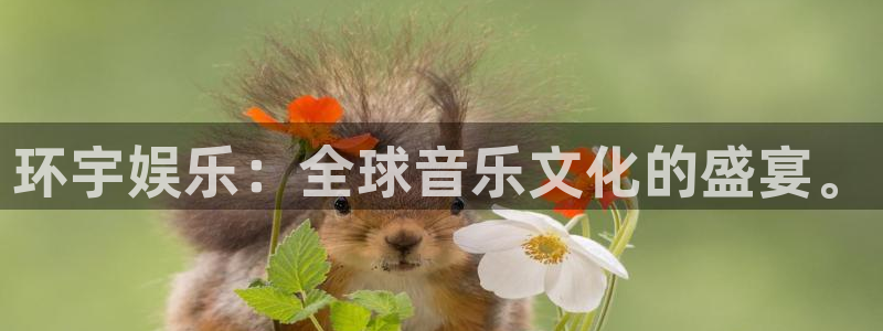 杏悦体育代理：环宇娱乐：全球音乐文化的盛宴。