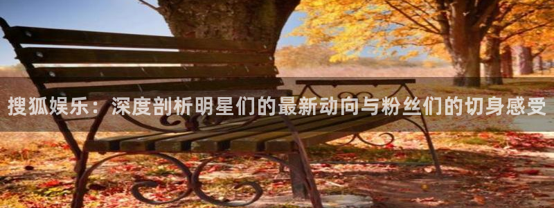 杏悦体育论坛：搜狐娱乐：深度剖析明星们的最新动向与粉丝们的切身感受