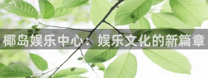 杏悦凯捷注册：椰岛娱乐中心：娱乐文化的新篇章