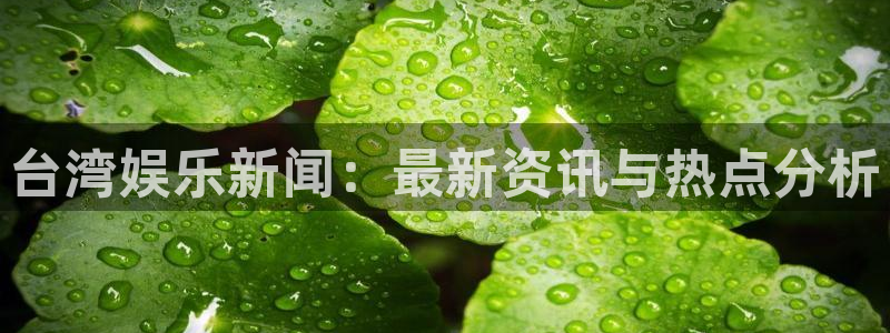 杏悦vk：台湾娱乐新闻：最新资讯与热点分析