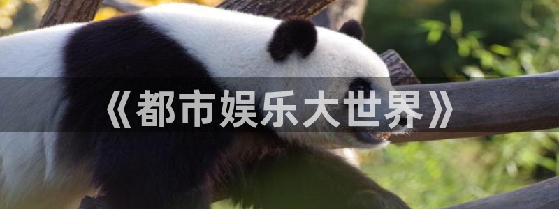 杏悦平台注册入口：《都市娱乐大世界》
