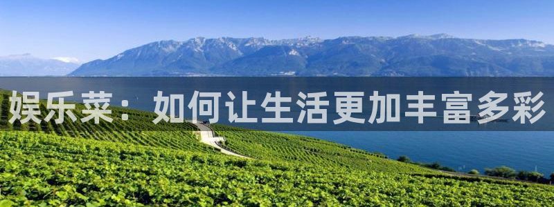 杏悦4平台：娱乐菜：如何让生活更加丰富多彩